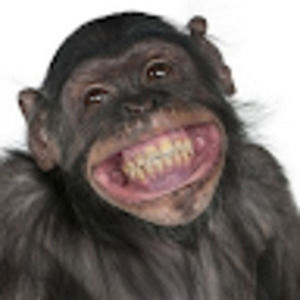 Meet your Posher, Walker